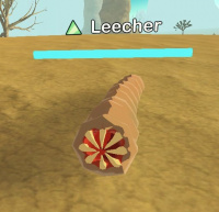 Leecher.jpg
