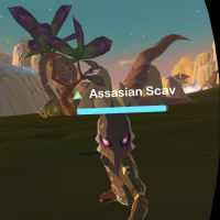 Assassin Scav.jpeg