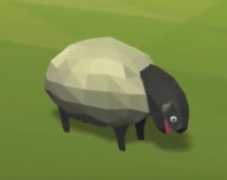 Sheep.jpg
